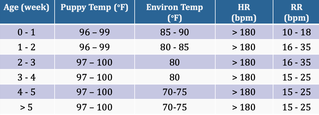 <p><strong>Canine Neonate Care</strong></p><p></p><ul><li><p><strong>&gt; 50% </strong>of all deaths in puppies occur in the first 3 days</p></li><li><p>fill in the chart</p></li></ul><p></p>