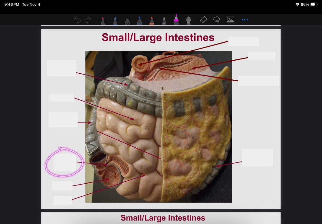 <p>What is this?</p>