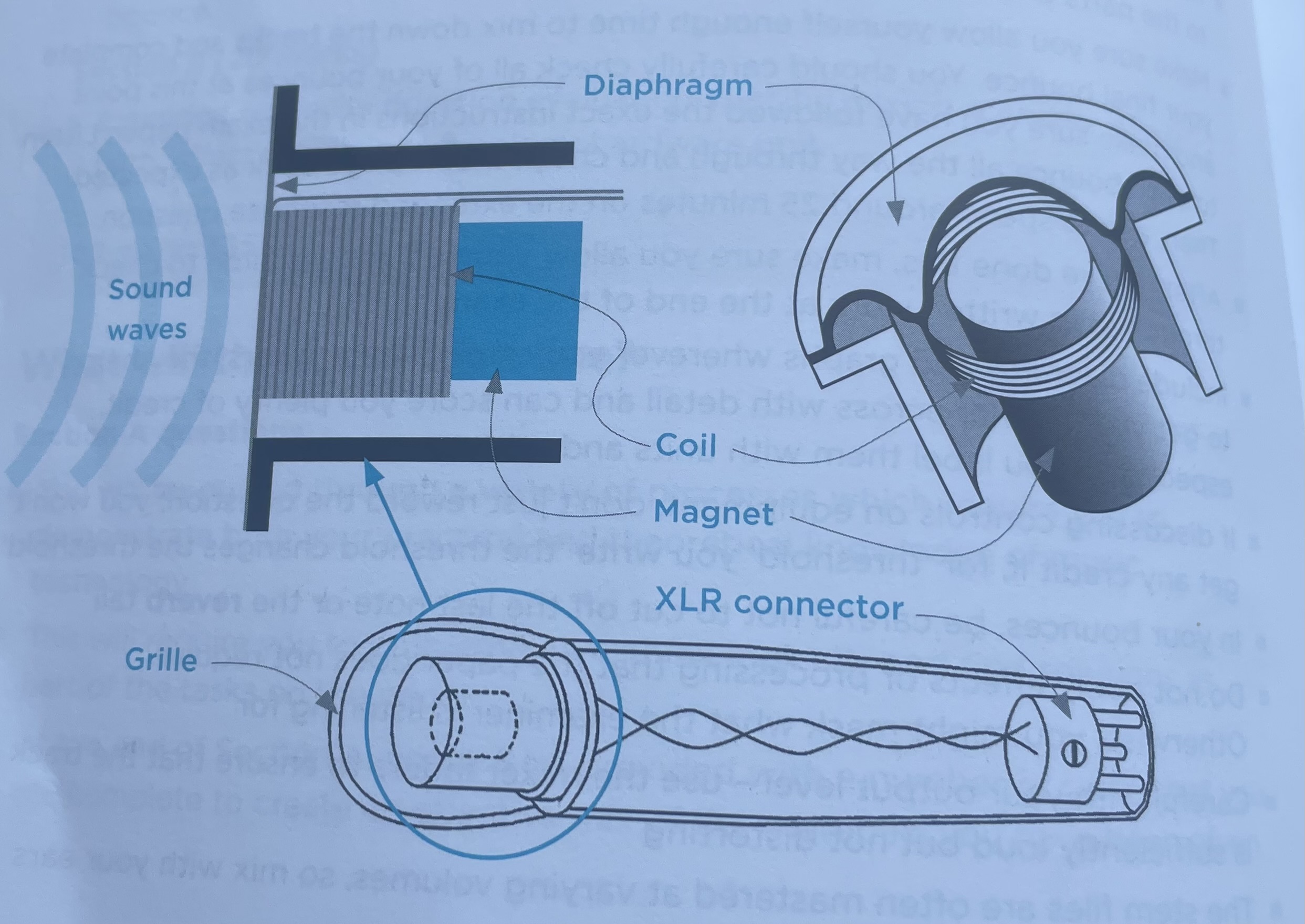 knowt flashcard image