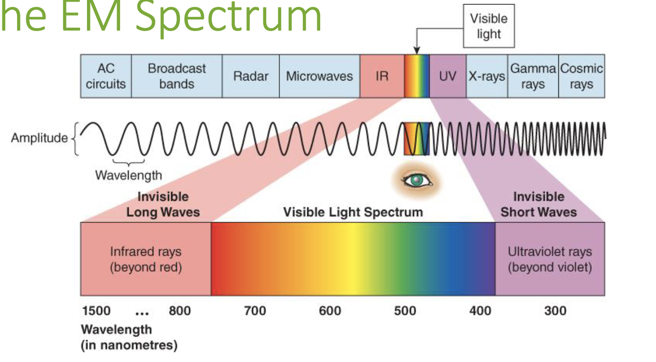 <p>The perception of color.</p>