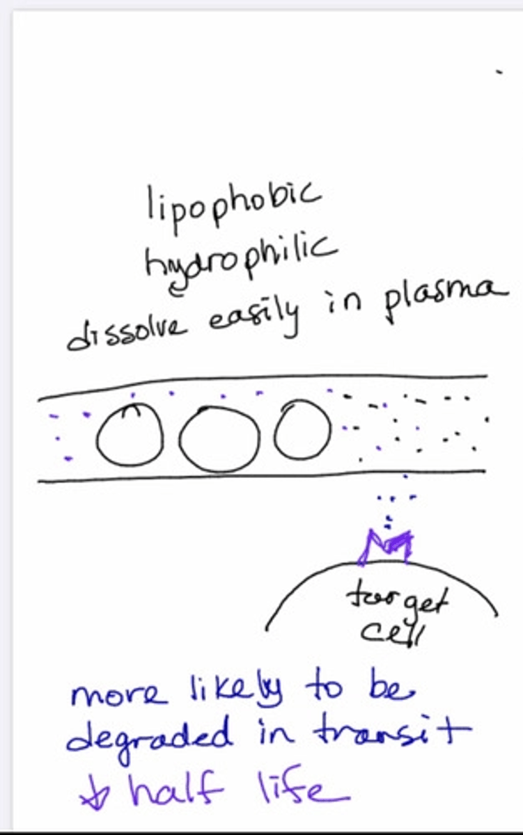 <p>1- location: receptors can be located on:</p><p>. on the plasma membrane</p><p>. in the cytosol of the cell</p><p>. inside of the nucleus </p><p>2-Receptors are specific to a given ligand or ligands</p><p>3-they have affinity to a given ligand.</p><p>.Affinity: means the strength of the bond between the ligand and its receptor.</p><p>4-The number of available receptors can be regulated:</p><p>. upregulated: increase in number</p><p>. Downregulated : decrease in number.</p>