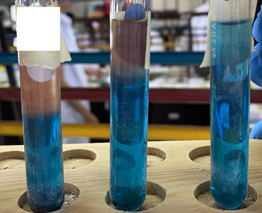 <p>What sugar is in each test tube (left to right)</p>