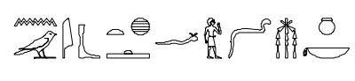 term image