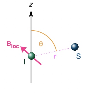 <p><strong>= through space coupling</strong></p><p>= magnetic moment (from spin) created when nuclei/unpaired electrons are placed in magnetic field can interact</p><p><strong>= interaction of magnetic moments</strong> leads to splitting as there are multiple different arrangement of moments with different energies</p><p>i.e. parallel = lower E; anti-parallel = higher E</p><p>dipolar interaction ∝ gyromagnetic ratio (∝ magnetic moment)</p><p>dipolar interaction ∝ 1/r (distance between nuclei)</p><p>dipolar interaction related to θ (angle between nuclei)</p>