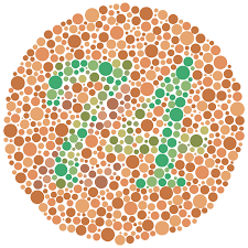 <p>A test conducted to determine if a person has colorblindness, often via colored numbers.</p>