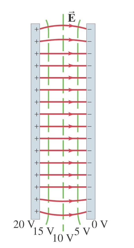 <p>a line or surface over which it is constant. The surface of a conductor is an equipotential. Electric field lines are always perpendicular to them</p>