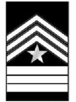 <p>Sergeant Major (Sgt. Maj.)</p>