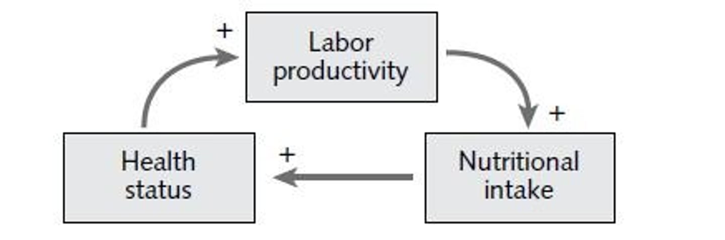 <p>Poverty, population growth, and climate change.</p>