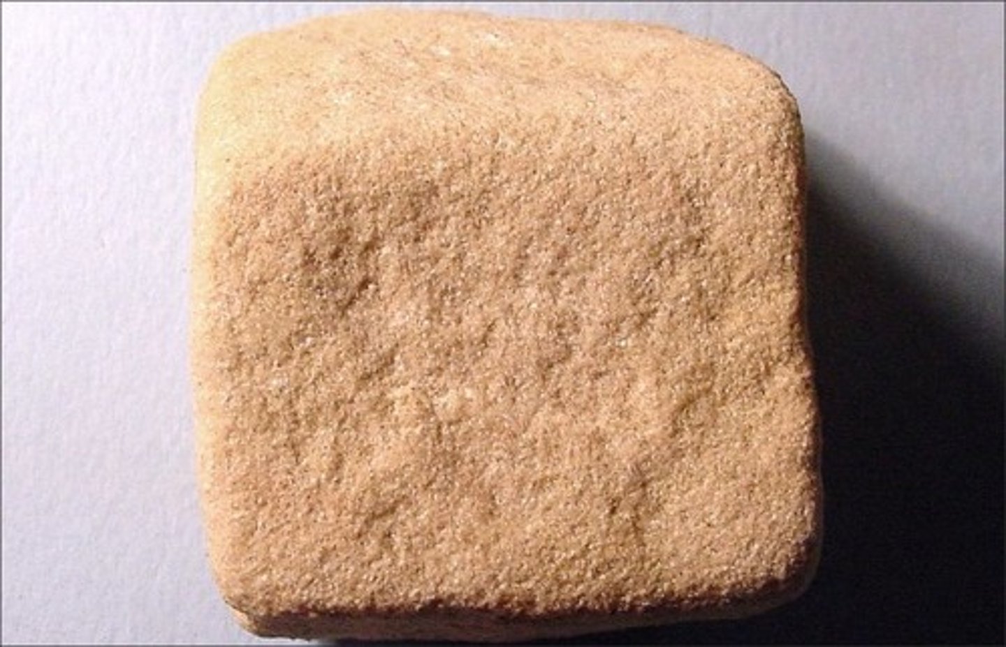 <p>Contains sand-sized sediment. Original rocks that sediments eroded from were probably felsic, based on color of sediment grains.</p>