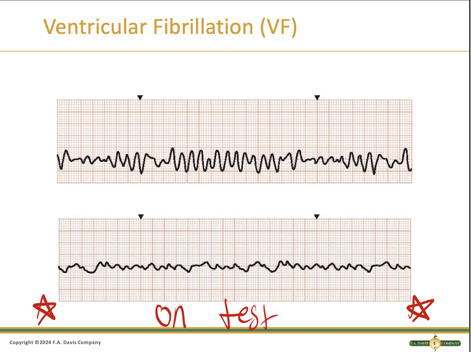 <p>It just looks like a bunch of squiggles</p>