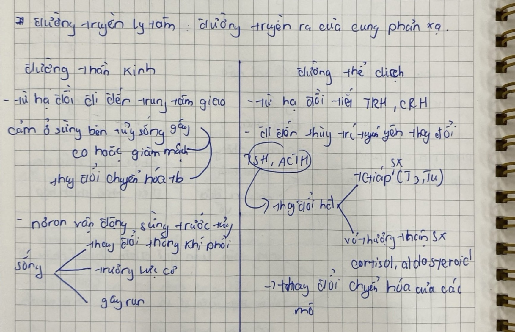 knowt flashcard image