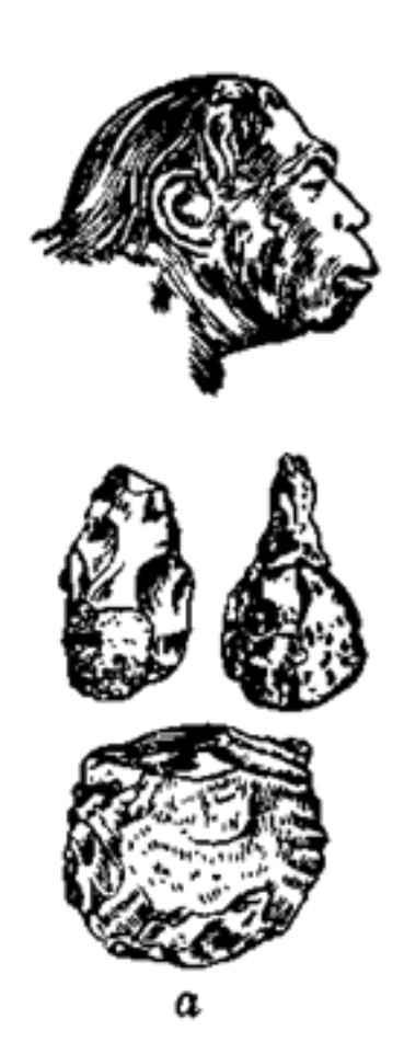 <p>Далі сформувався <strong>кроманьйонець (в</strong>) <strong>(35-40 тис.р.тому)</strong> сучасний тип людини (Хомо Сапіенс).</p><p class="has-focus">Палеоліт (давній кам'яний вік) - 1 млн. років тому - 11 тис. до н.е.</p>