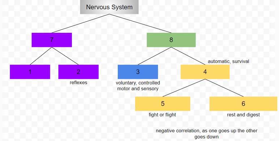 knowt flashcard image