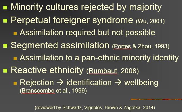 <ul><li><p>rejected by majority</p></li><li><p>perpetual foreigner syndrome (Wu, 2001)</p></li><li><p>segmented assimilation</p></li><li><p>reactive ethnicity</p></li></ul>