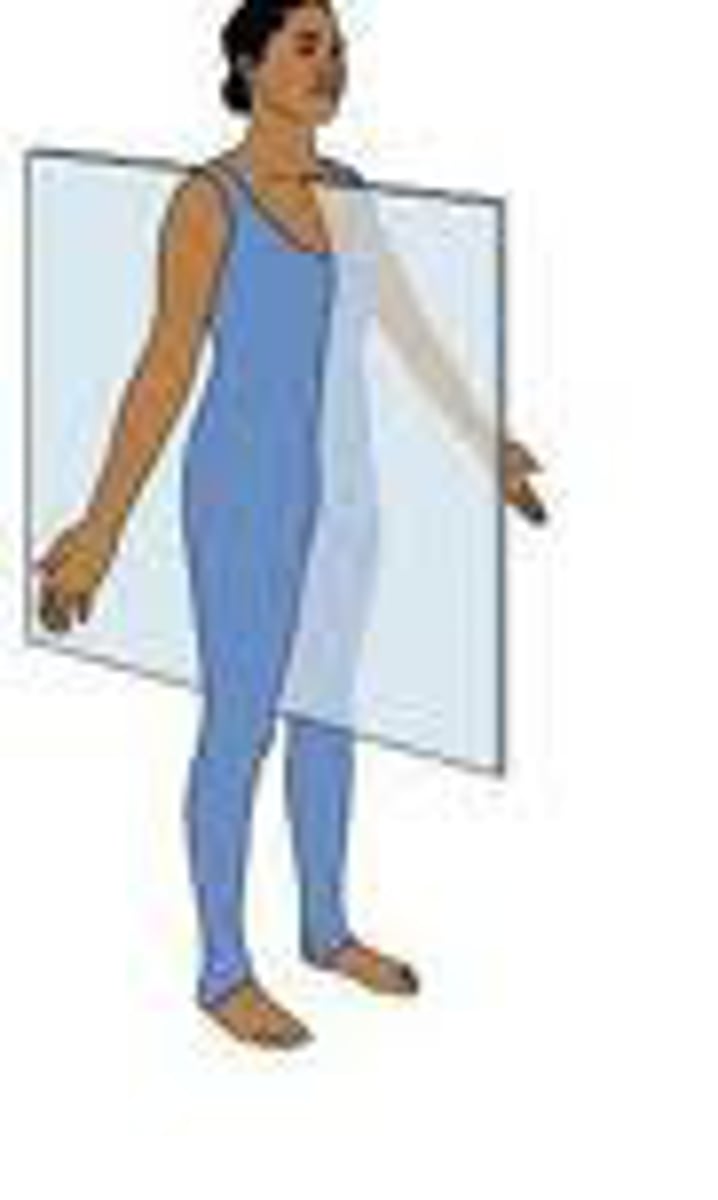 <p>divides the body into equal left and right portions</p>