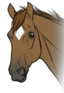 <p>What facial marking is this?</p>