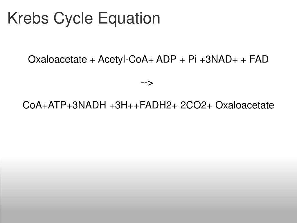 <p>Krebs Cycle Overall Reaction</p>