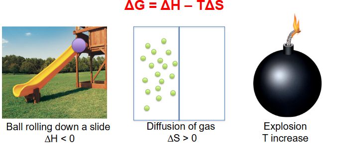 <p>- the potential energy at the top is higher for the ball, so as it rolls down it loses potential energy hence delta H is negative</p><p>- Diffusion of gas increases disorganisation of particles hence entropy is greater then 0</p><p>- Explosion massively increases temperature</p>