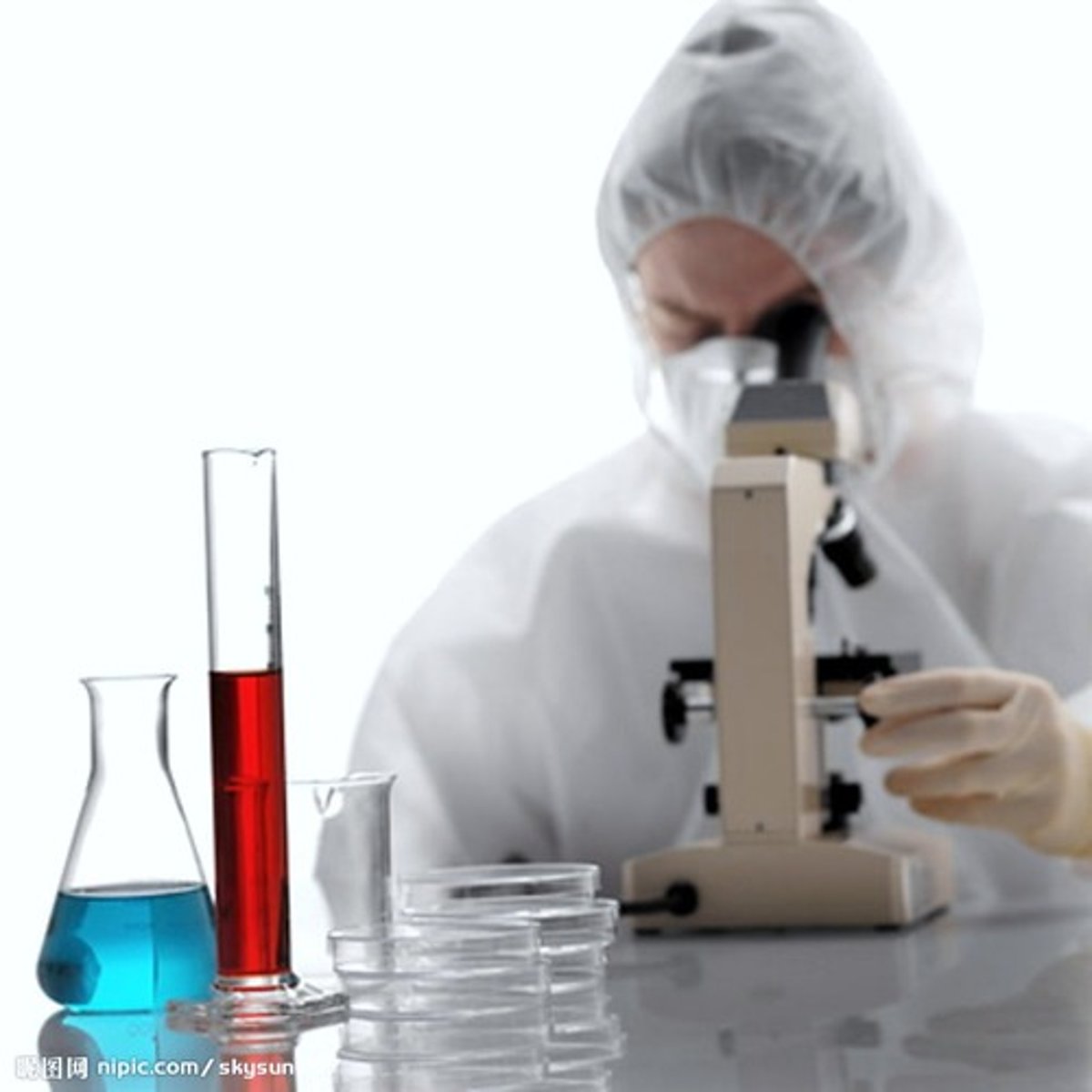 <p>researcher</p>