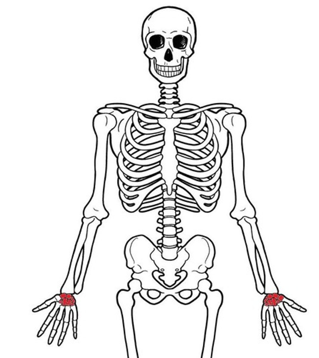 <p>ID red bones</p>