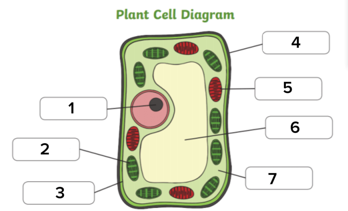 <p>Label this diagram</p>