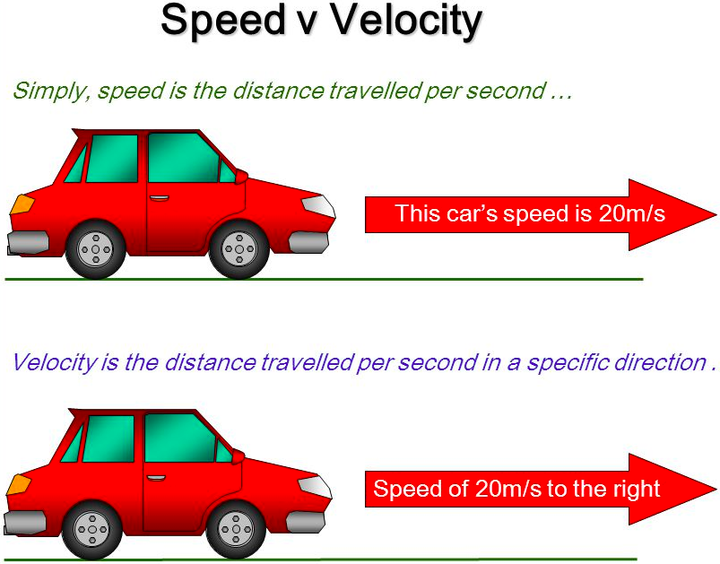 <p>vector and includes onlt the magnitude of the rate of change </p>