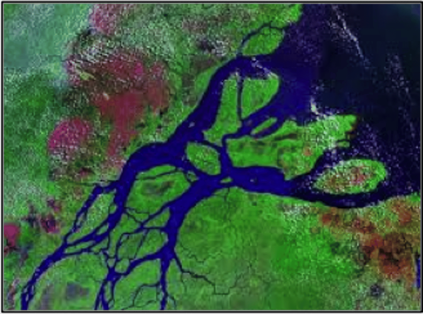 <p>A partially enclosed body of water where fresh water from rivers and streams meet ocean saltwater.</p>