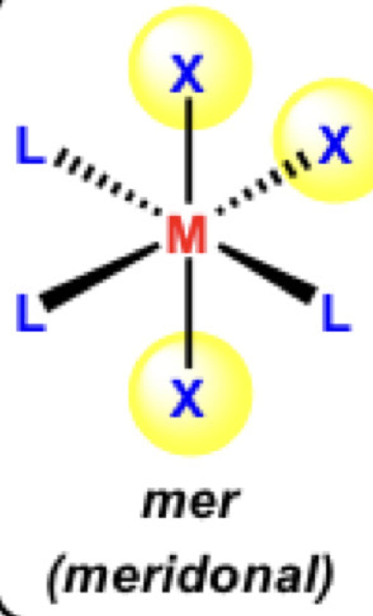 <p>meridian</p>