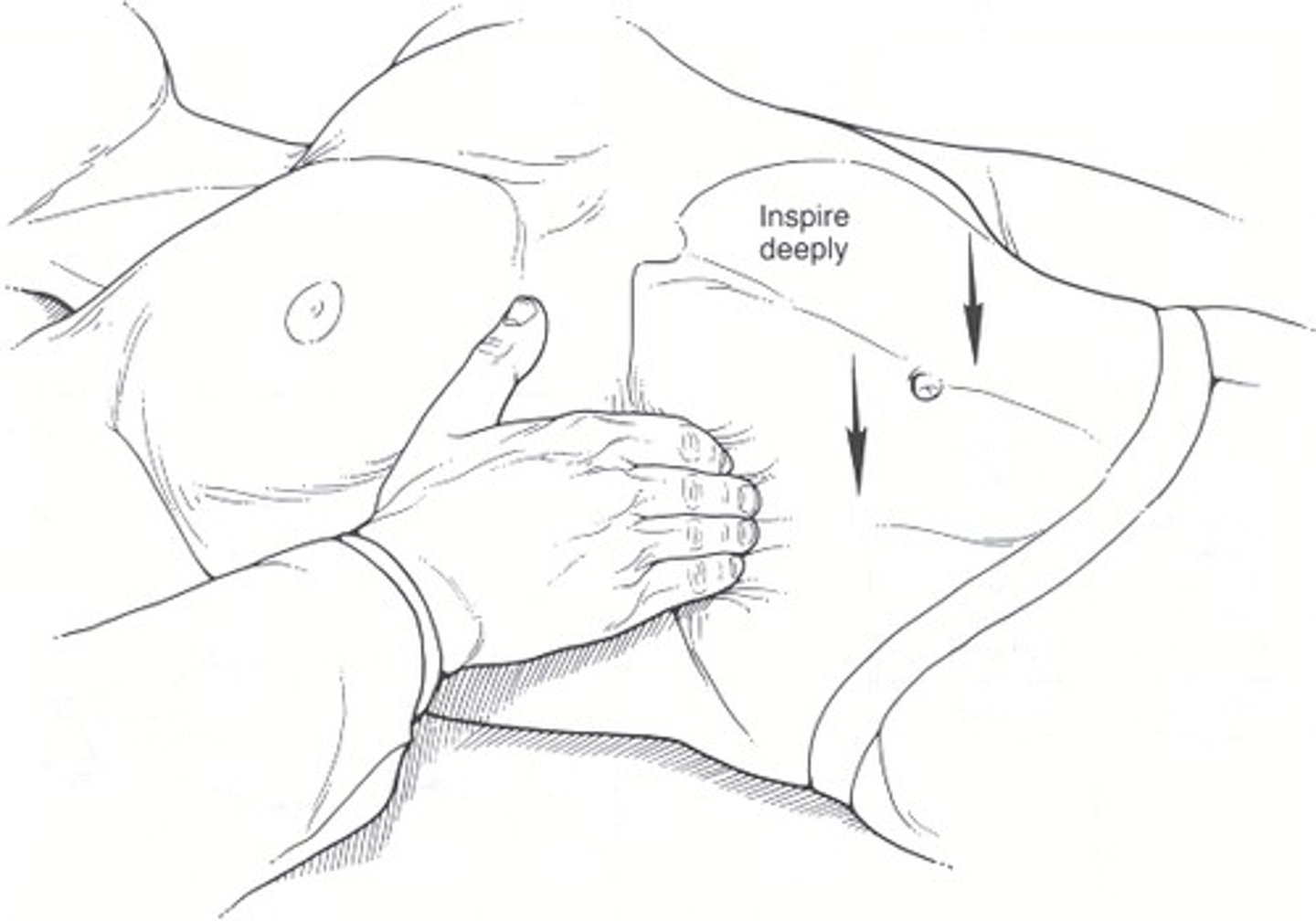 <p>fine tactile discrimination. Grasping with the fingers and thumb is ideal for detecting position, shape, and consistency of an organ or mass</p>