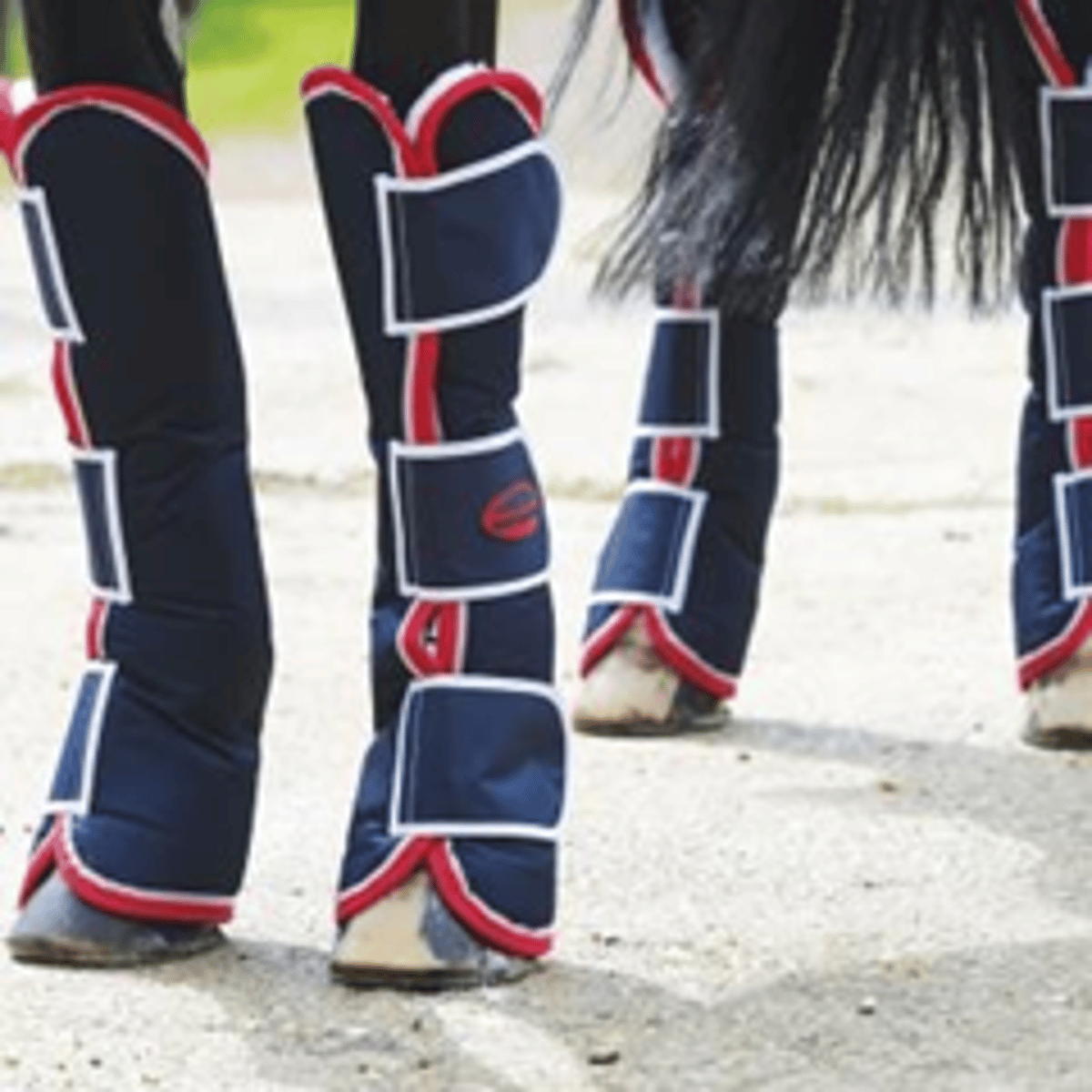 <p>To protect the horses from rubbing during transport, or knocking and injuring their limbs.</p>
