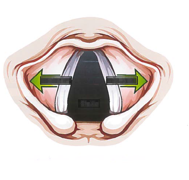 <p>What happens to the vocal folds when you produce voiceless phonation?</p>