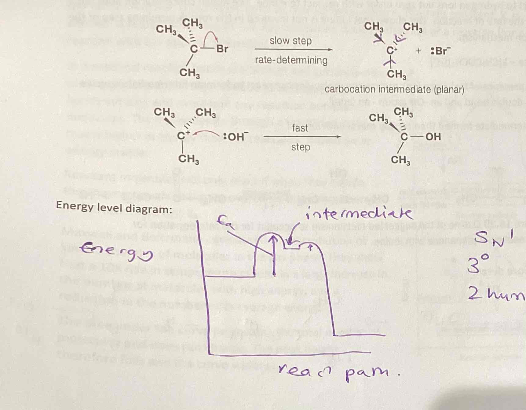 <ul><li><p>Can be shown by exp to be first order wrt the halogenoalkane, and zero order wrt the hydroxide ion I.e. rate = k[(CH3)3CBr</p></li><li><p>The SN1 reaction involves the initial reaction breaking of the C-Br bond to form a tertiary carbocation intermediate in the slow rds - only one molecule involved</p></li></ul><p></p>