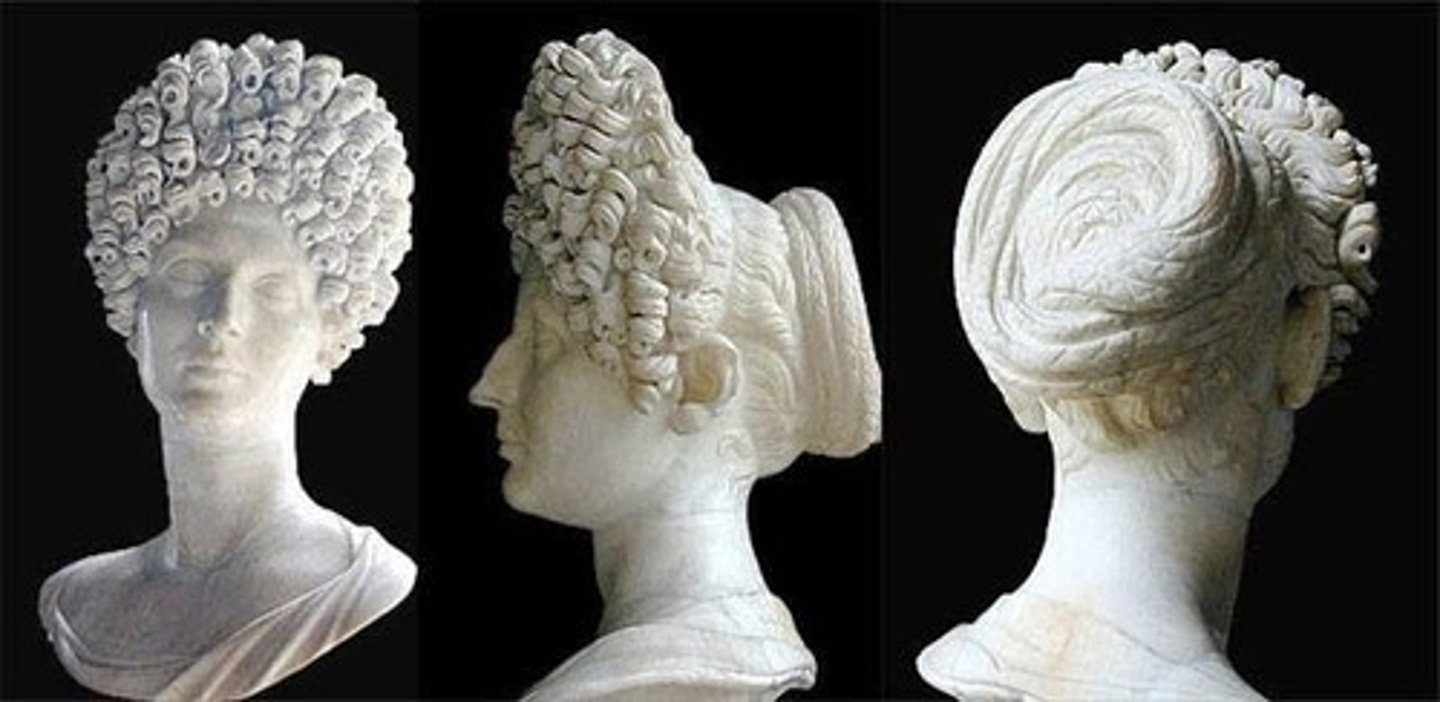 <p>hair</p>