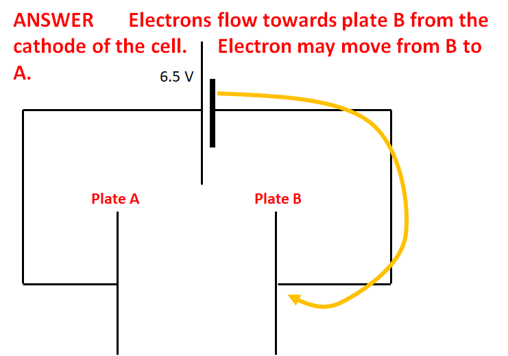 knowt flashcard image