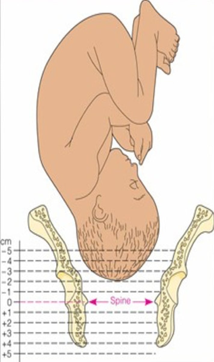 <p>negative numbers mean higher up; meanwhile positive numbers mean lower down (e.g. +4 on the floor)</p>