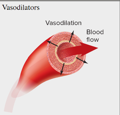 <p>What are hormones and neurotransmitters of <u>Vasodilators</u>?</p>