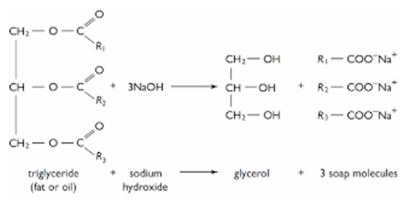 <p>triglyceride (fat or oil) + NaOH -> Glycerol + 3 soap molecules</p><p>Saponification occurs under BASIC conditions (FA shown as salts)</p>