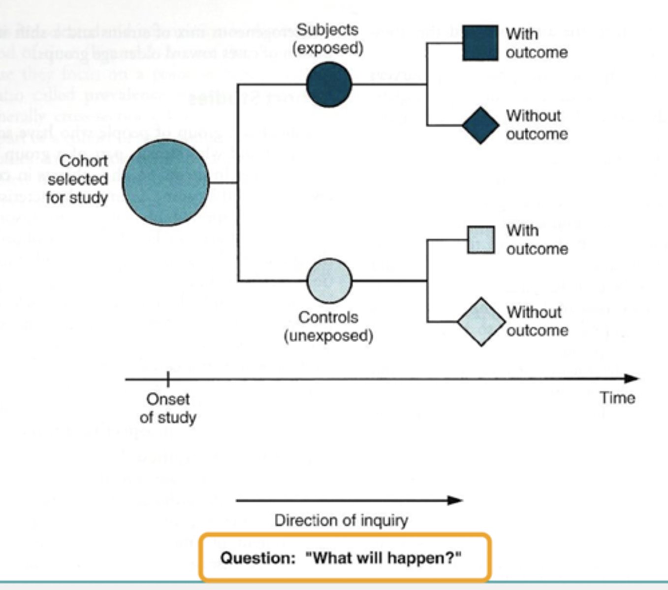 <p>What type of study does this image show?</p>
