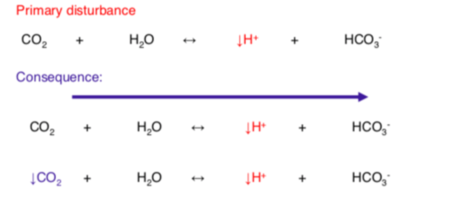 <p>Decreased [H+] OR increased [HCO3-]<br>Increased pH<br>- Prolonged vomiting<br>- Excessive ingestion of antacids </p>