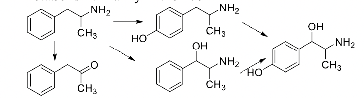 <p>Drug Name and Class</p>