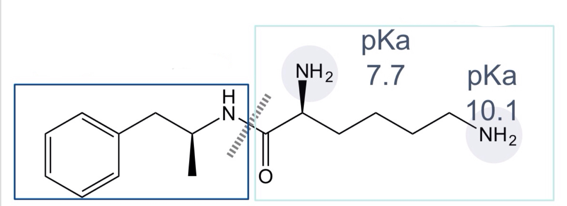 <p>Lisdexamfetamine is a ___ drug. The second half is what amino acid</p>