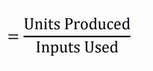 <p>a kind of productivity which indicates the ratio of goods and services <span style="color: var(--color-neutral-black)">produced to one resource.</span></p>
