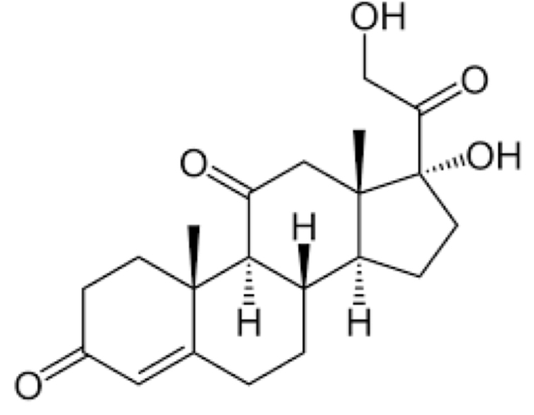 <p>- pregnane (21 C) hormone synthetic</p><p>- non-selective</p><p>- rescue therapy (flares)</p>