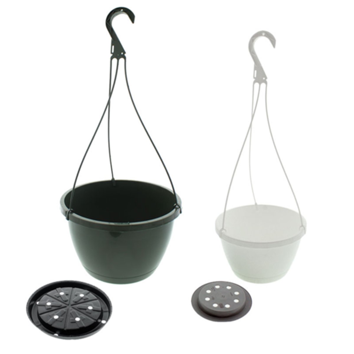 <p>Plants that trail or hang attractively when grown in a suspended container</p>