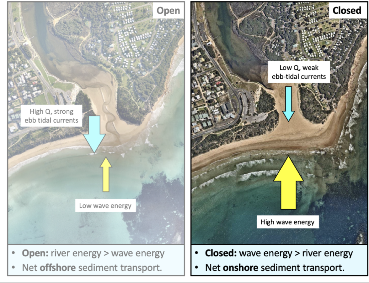 Intermittently open/closed estuaries

Periodically close by the formation of a berm/bar across the mouth

Influenced by rivers and tides but mostly wave dominated

 Competing energies (Onshore sand transport by waves vs ebb tidal currents (outgoing tide and river flow)

* Open: high river discharge and strong ebb tidal currents

Low wave energy which causes net offshore sediment transport

* Closed: low river discharge, weak ebb tidal currents

High wave energy which causes net onshore sediment transport          

\
      