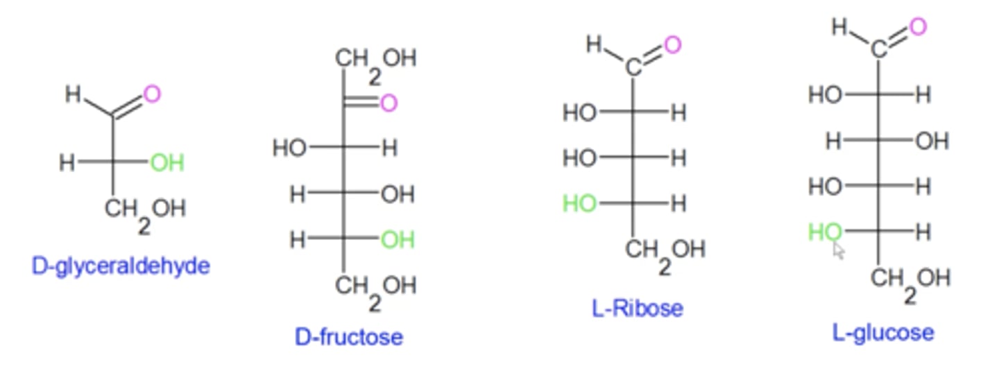 <p>when you draw a Fischer projection of a sugar, if the bottommost OH (green) along the spine of the sugar points to the right, it's a D sugar. If it points to the left, then it's an L sugar</p><p>(this is completely unrelated to R/S)</p>