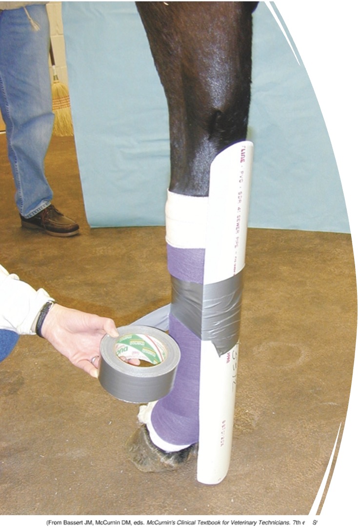 <ul><li><p>Used to immobilize a joint after severe trauma</p></li><li><p><span>Can be temporary (for transport) or used long term</span></p></li><li><p><span>Standard distal limb support applied first</span></p></li><li><p><span><mark data-color="blue" style="background-color: blue; color: inherit">Robert Jones Splint Bandage is the simplest</mark></span></p></li><li><p><span>Additional padding as needed</span></p></li><li><p><span>Strut (wood, PVC, metal) is cut to the length of the bandage and smooth surfaces (immobilize a joint above and below if possible)</span></p></li><li><p><span>Position strut on the cranial or caudal surface to prevent movement</span></p></li><li><p><span>Secure with <strong>NON-ELASTIC TAPE (duct tape works great)</strong></span></p></li></ul><p></p>