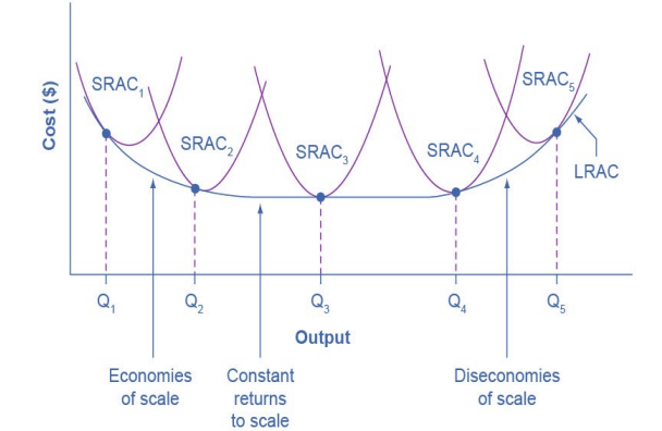 <ul><li><p>based on group of short run avg cost SRAC curves, each of which representing 1 specific level of fixed costs</p><ul><li><p>low level of fixed costs at SRAC 1, high level at SRAC5</p></li></ul></li><li><p>other SRAC curves not shown lie btw the ones visible</p></li><li><p>the ? curve shows the lowest cost for producing each qty of output when fixed costs can vary, and so it is formed by the bottom edge of the family of SRAC curves</p></li><li><p>if firm wished to produce qty Q3, it would choose the fixed costs associated w SRAC3</p></li></ul><p></p>