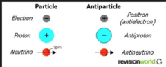 <p>For every type of particle, there is a corresponding antiparticle</p>