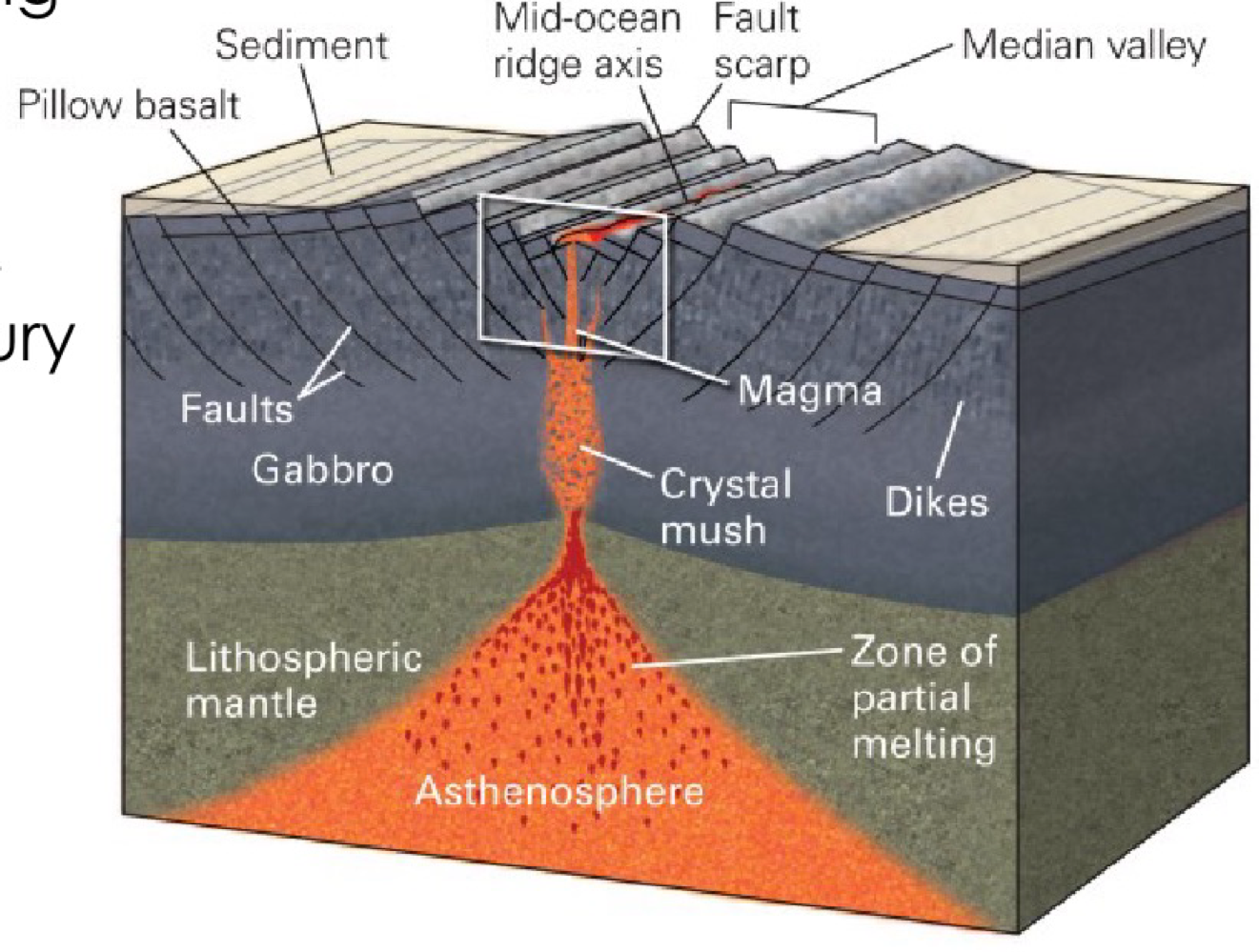 <ul><li><p>only the upper 1-3km of oceanic crust (7-10km thick) is from erupting magma</p></li><li><p>Juan de Fuca plate extrudes ~6m/century</p></li></ul><p></p>